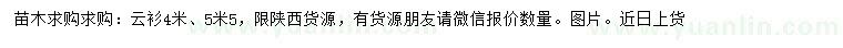 求购4、5.5米云衫