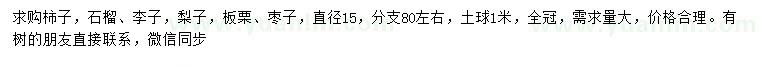 求购柿子、石榴、李子等