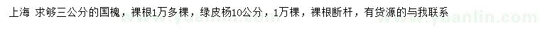 求购3公分国槐、10公分青皮杨