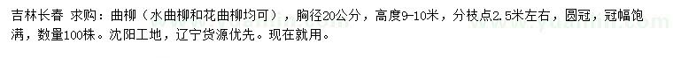 求购胸径20公分曲柳（水曲柳、花曲柳）