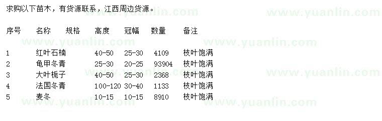 求购红叶石楠、龟甲冬青、大叶栀子等