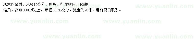 求购米径15公分栾树、米径30-35公分皂角