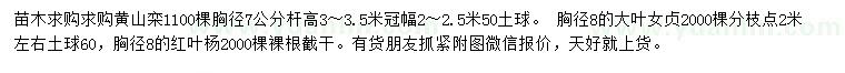 求购黄山栾、大叶女贞、红叶杨