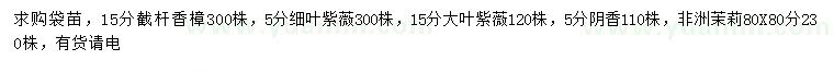 求购香樟、细叶紫薇、大叶紫薇等