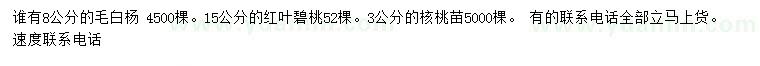 求购毛白杨、红叶碧、核桃苗