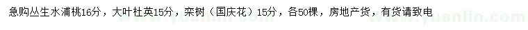 求购丛生水浦桃、大叶杜英、栾树等