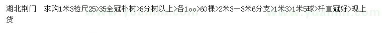 求购1.3米量25、35公分朴树