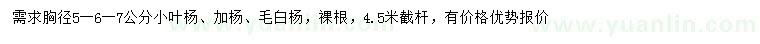 求购小叶杨、加杨、毛白杨