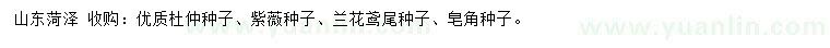 求购杜仲种子、紫薇种子、兰花鸢尾种子等