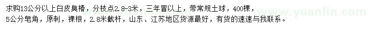 求购13公分以上白皮臭椿、5公分皂角