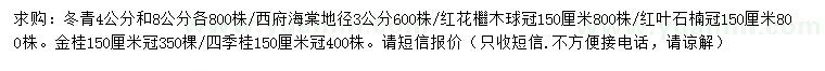 求购冬青、西府海棠、红花继木球等