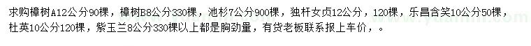 求购樟树、池杉、独杆女贞等