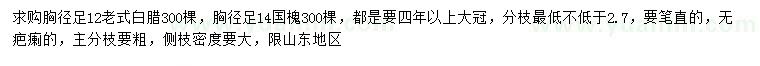 求购胸径12公分老式白腊、14公分国槐