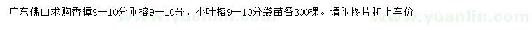 求购香樟、垂榕、小叶榕