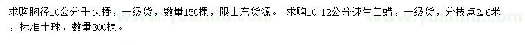 求购胸径10公分千头椿、10-12公分速生白蜡