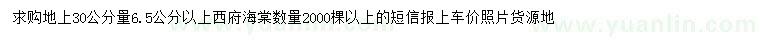 求购地上30公分量6.5公分以上西府海棠