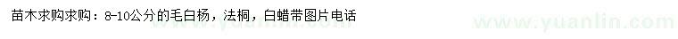 求购毛白杨、法桐、白蜡