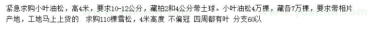 求购10-12公分小叶油松、2、4公分藏柏