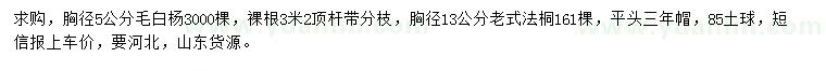 求购胸径5公分毛白杨、胸径13公分老式法桐