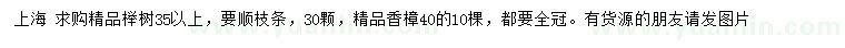 求购35公分以上、40公分精品榉树