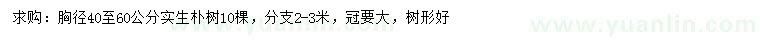 求购胸径45-60公分朴树、丛生90公分以上多杆朴树