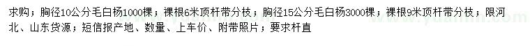 求购胸径10、15公分毛白杨