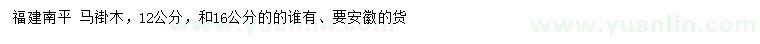 求购12、16公分马褂木