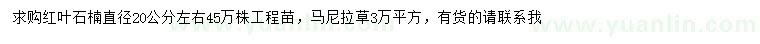 求购直径20公分左右红叶石楠、马尼拉草