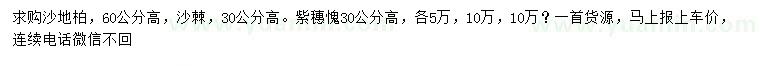 求购高60公分沙地柏、30公分紫穗槐