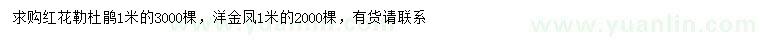 求购1米红花勒杜鹃、洋金凤