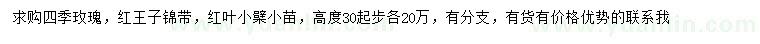 求购四季玫瑰、红王子锦带、红叶小檗小苗