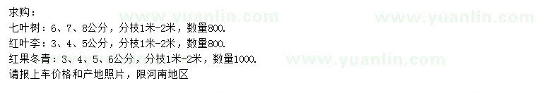 求购七叶树、红叶李、红果冬青