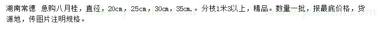 求购直径20、25、30、35公分八月桂