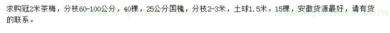 求购冠2米茶梅、25公分国槐