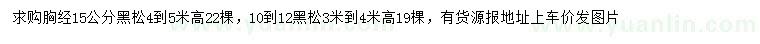 求购胸径10-12、15公分黑松