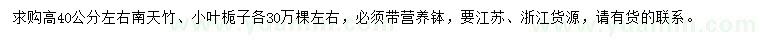 求购高40公分左右南天竹、小叶栀子