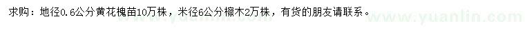 求购地径0.6公分黄花槐苗、米径6公分檫木