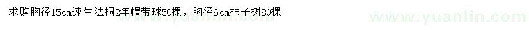 求购胸径15公分速生法桐、6公分柿子树