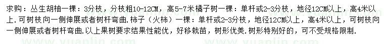 求购丛生胡柚、橘子树、柿子等