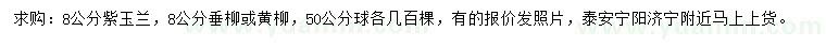 求购8公分紫玉兰、垂柳或黄柳