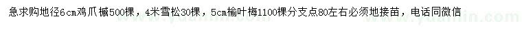 求购鸡爪槭、雪松、榆叶梅