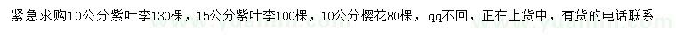 求购10、15公分紫叶李、10公分樱花