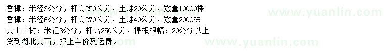 求购香樟、黄山栾树、大叶女贞