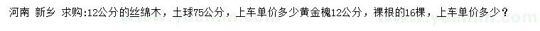 求购12公分丝绵木、黄金槐