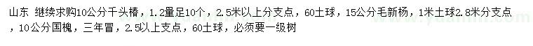 求购千头椿、白新杨、国槐