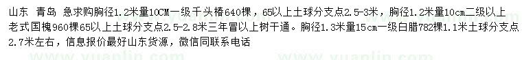 求购千头椿、老式国槐、白腊