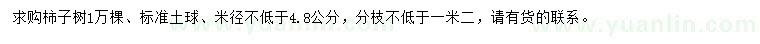 求购米径不低于4.8公分柿子树