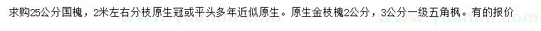 求购国槐、原生金枝槐、五角枫