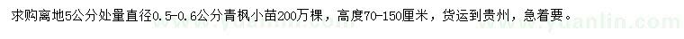 求购离地5公分处量直径0.5-0.6公分青枫小苗