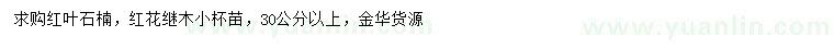 求购30公分以上红叶石楠、红花继木小杯苗